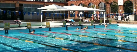 North Sydney Olympic Pool is one of Sydney life.