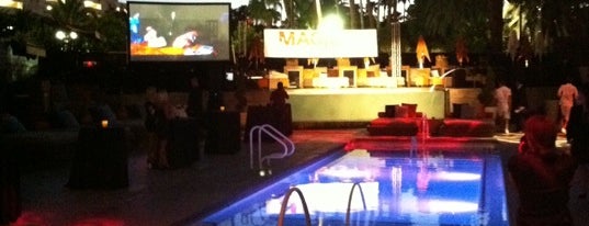 Bare Pool Lounge is one of Las Vegas Pools Guide.