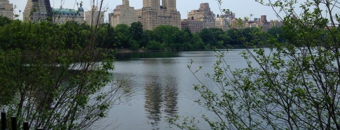 Jacqueline Kennedy Onassis Reservoir is one of NYC to do.