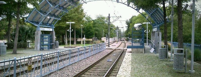White Rock Station (DART Rail) is one of DART Blue Line.