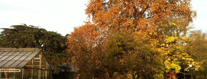 Natur in Köln