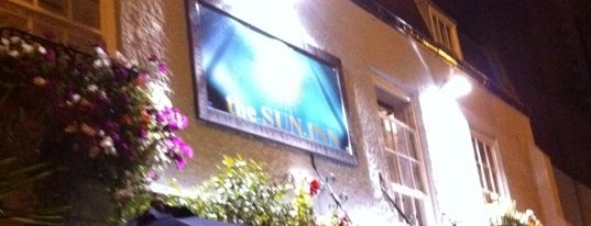 The Sun Inn is one of What to do in Barnes Village.
