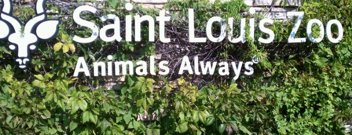 Saint Louis Zoo is one of Top 10 favorites places in St. Louis, Missouri.