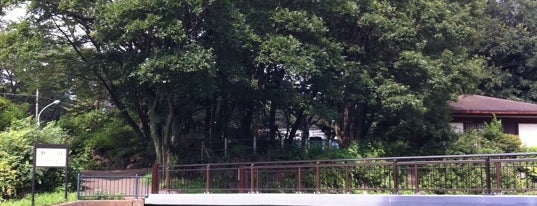 Nogawa Park is one of 多摩・武蔵野ウォーキング.
