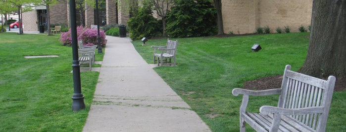 Take a Seat: Benches on Campus