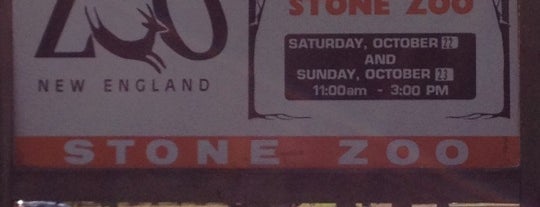Stone Zoo is one of Things To Do In Boston.