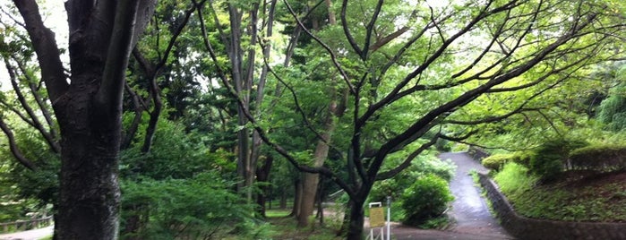 神奈川県の公園