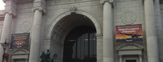 American Museum of Natural History is one of new york, NY.