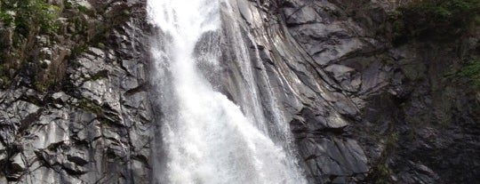 Nunobiki Falls is one of 日本の滝百選.