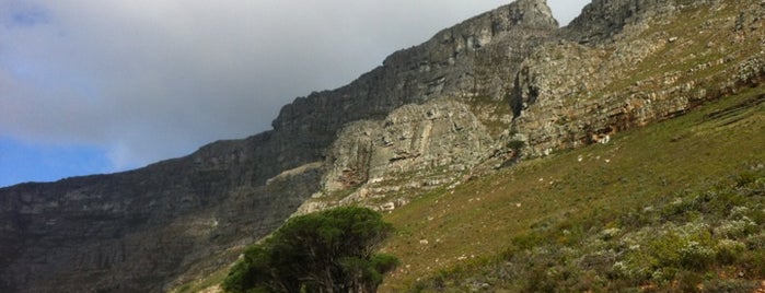 Table Mountain Aerial Cableway is one of Cape Town's Responsible Tourism Champions.