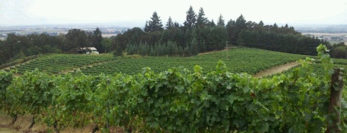 Amity Vineyards is one of Spots for Regional American Wine.