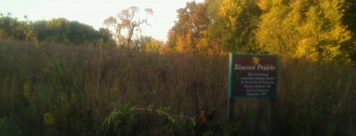 Biocore Prairie is one of Fresh Air Around Madison, WI.