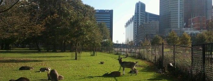 Hertenkamp Malieveld is one of Parks & Outdoors : Den Haag.