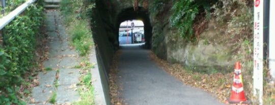 台亀井隧道 is one of 鎌倉避暑SPOT.