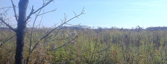 Prairie Oaks Metro Park is one of Top 10 Parks in and around Columbus.