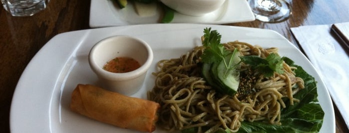 Wild Ginger Pan-Asian Vegan Cafe is one of Best of Chinese New Year.