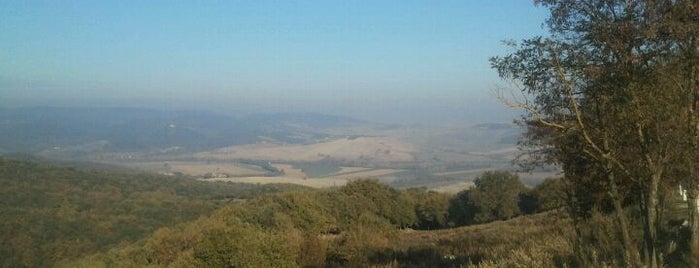 Buonconvento is one of Favorite Great Outdoors.