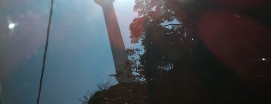 Bukit Nanas Forest Reserve is one of Colors of Kuala Lumpur.