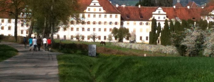 Schloss Salem is one of Orte, die iZerf gefallen.
