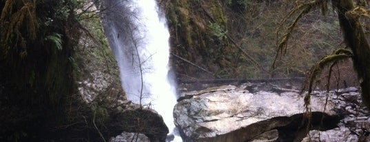 Drift Creek Falls Trail is one of Eat Your Way Up the Coast.