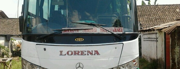 Travel agen Bus LORENA Jember-Jakarta is one of All-time favorites in Indonesia.