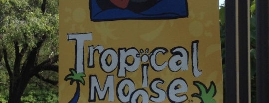 Tropical Moose is one of Smoothies.