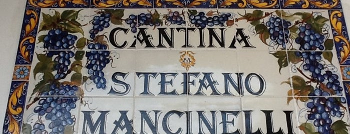 Cantina Stefano Mancinelli is one of Cantine delle Marche.