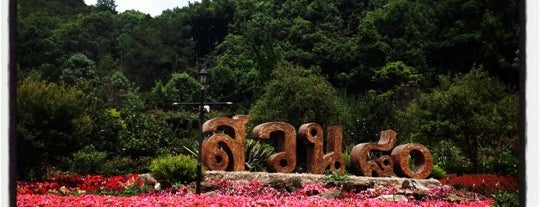 Royal Agricultural Station Angkhang is one of Chaing Mai (เชียงใหม่).