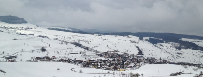 Bürensteig (Passhöhe) is one of Passstrassen zwischen Wien und dem Atlantik.