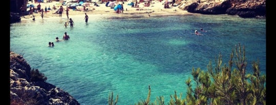 Cala sa Nau is one of You, beach! (Mallorca).