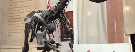 Museo Americano de Historia Natural is one of NYC 2012 summer bucket list.