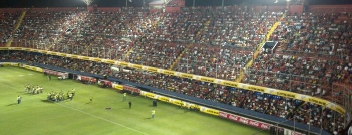 Estadio Luis "Pirata" Fuente is one of สถานที่ที่ Armando ถูกใจ.