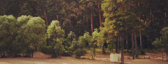 Лесной парк is one of *.