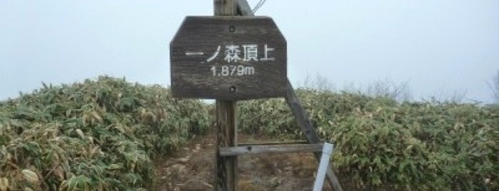 一ノ森 is one of 四国の山.