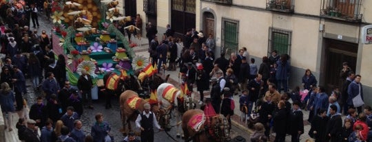 Ayuntamiento De Mora is one of Orte, die Angel gefallen.