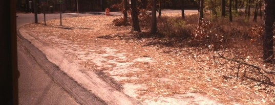 Double Trouble State Park is one of Walking around Toms River.