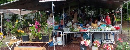 Makuu Farmers Market is one of Big Island recs - Oct 2019.