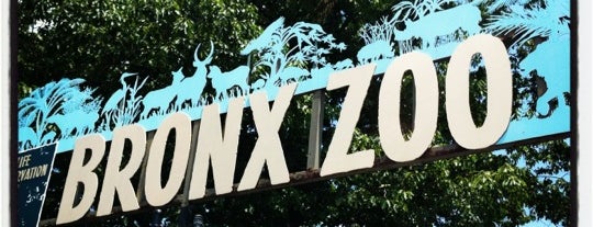 Bronx Zoo is one of Adult Camp!.