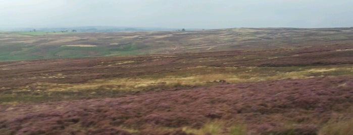 North York Moors National Park is one of Yorkshire: God's Own Country.