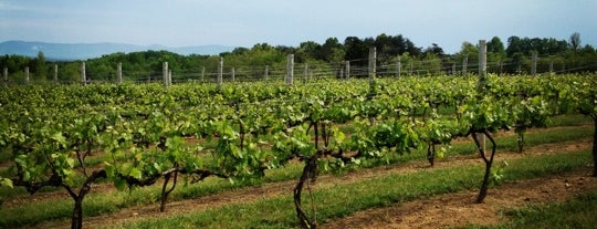 Virginia Mountain Vineyards & Winery is one of Local Wineries & Breweries.