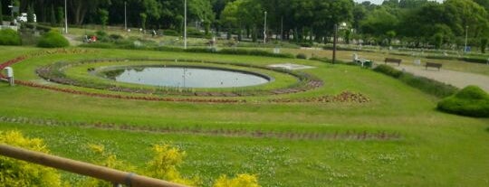 円形花壇 is one of 公園 in 豊中市.