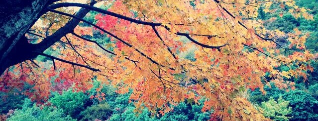 Kankakei Gorge is one of สถานที่ที่บันทึกไว้ของ Yongsuk.