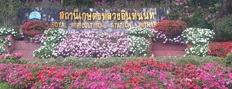 สถานีเกษตรหลวงอินทนนท์ is one of Guide to the best spots Chiang Mai|เที่ยวเชียงใหม่.