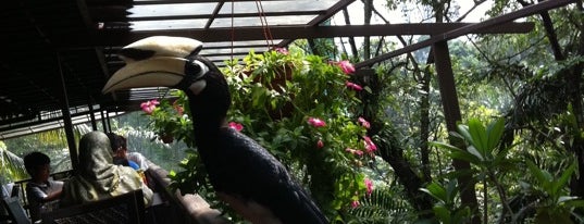 Kuala Lumpur Bird Park is one of RAPID TOUR around the WORLD.
