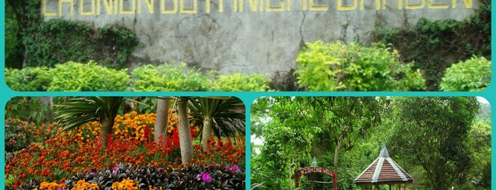 La Union Botanical Gardens is one of Best Spots at San Fernando City, La Union.