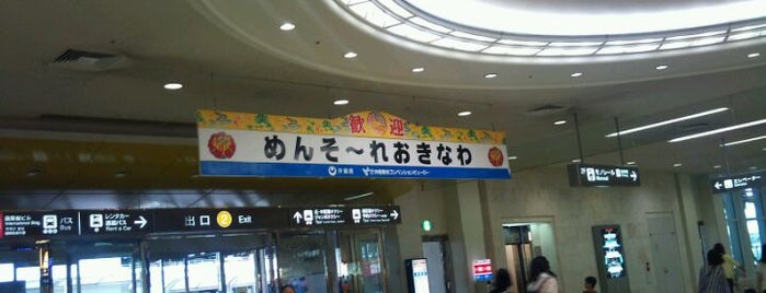Naha Airport (OKA) is one of 国内線空港.
