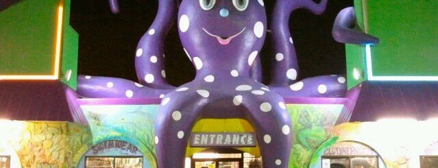 Purple Octopus is one of Gulf Shores Vacation.