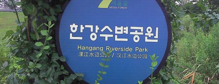 Hangang Riverside Park is one of Through the Center of Seoul.