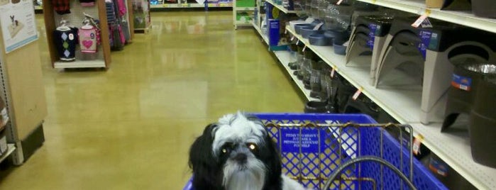 PetSmart is one of Lieux qui ont plu à All About You Entertainment.