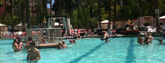 Flamingo GO Pool is one of Vegas Vacation.